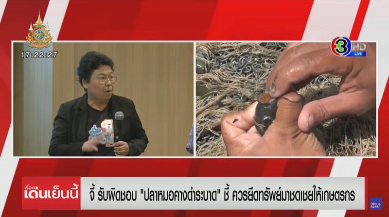 ปัญหาปลาหมอคางดำ ปัญหาปลาหมอคางดำ