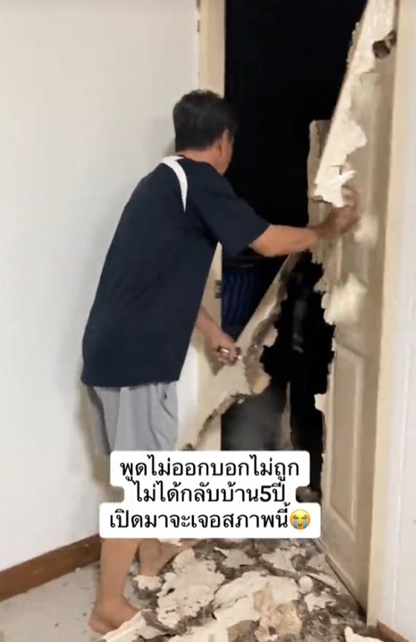 ปลวกกินบ้าน ปลวกกินบ้าน