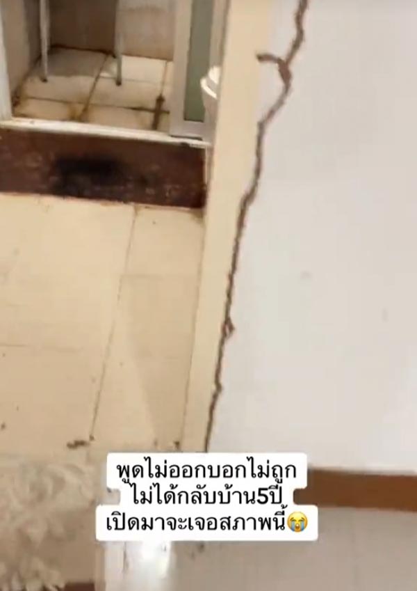 ปลวกกินบ้าน ปลวกกินบ้าน