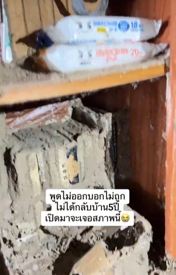 ปลวกกินบ้าน ปลวกกินบ้าน