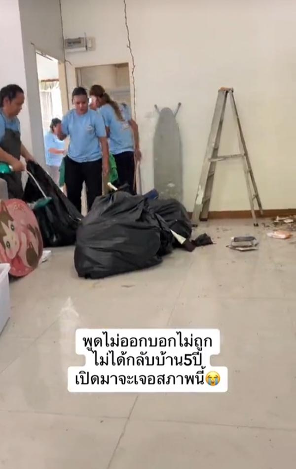 ปลวกกินบ้าน ปลวกกินบ้าน