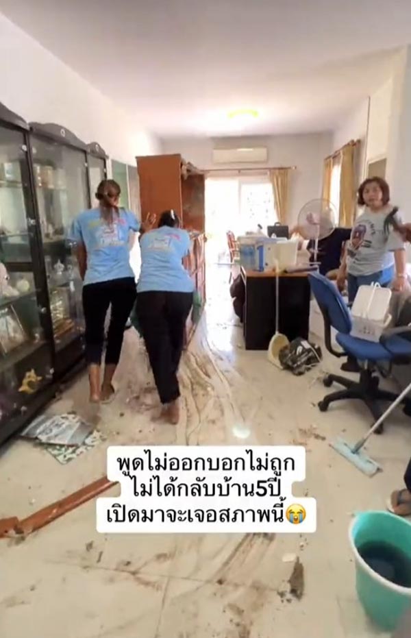 ปลวกกินบ้าน ปลวกกินบ้าน