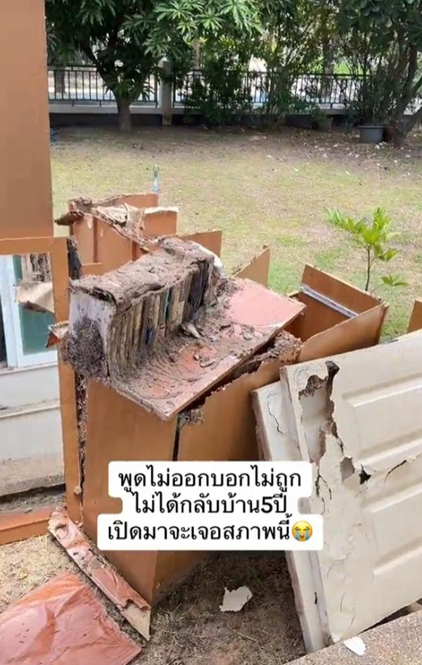 ปลวกกินบ้าน ปลวกกินบ้าน