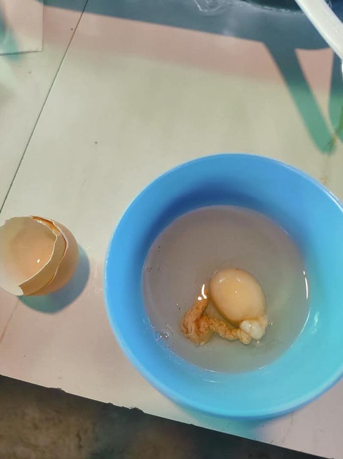 ไข่ไก่ ไข่ไก่