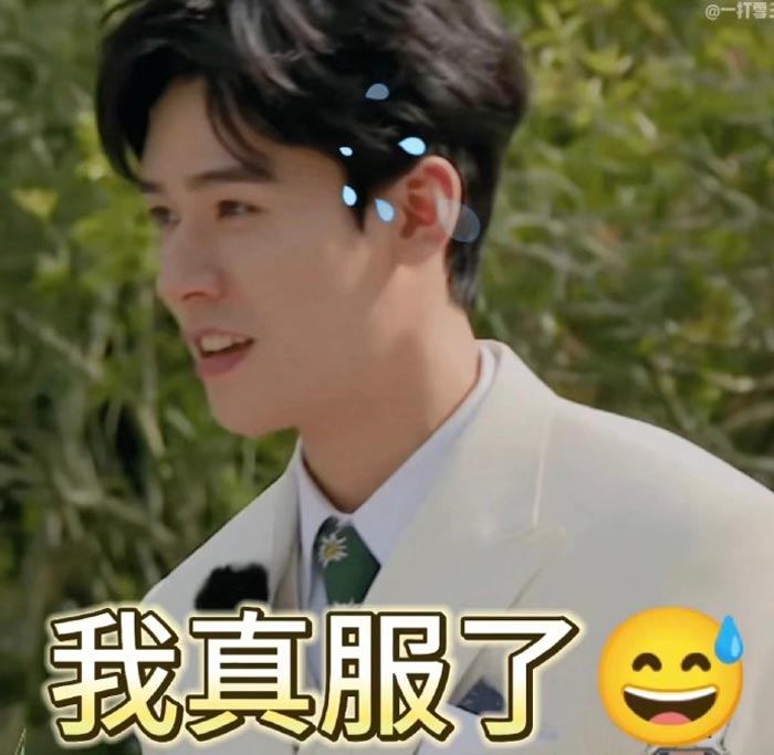 หวังซิง นักแสดงจีน หวังซิง นักแสดงจีน