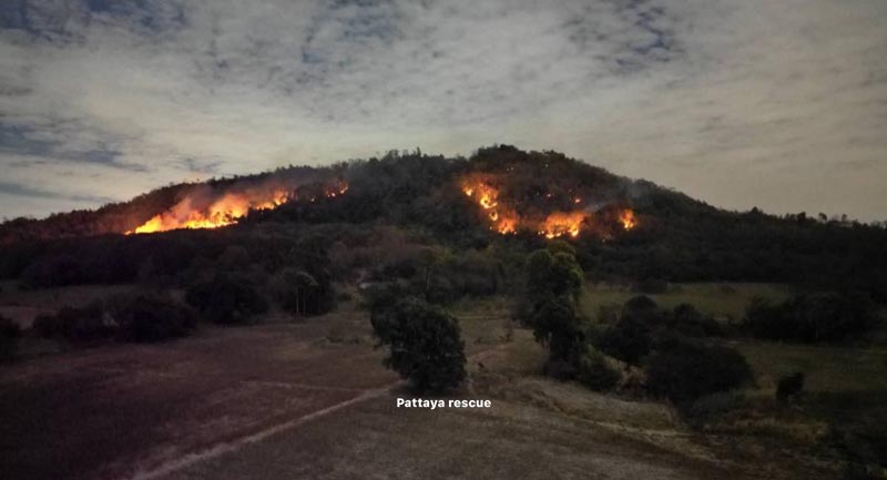 ไฟป่าบางละมุง ไฟป่าบางละมุง