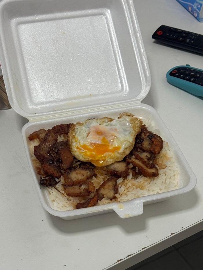 ข้าวหมูกรอบไข่ดาว ข้าวหมูกรอบไข่ดาว