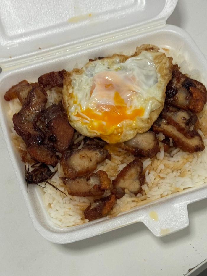 แมลงสาบในข้าวหมูกรอบไข่ดาว แมลงสาบในข้าวหมูกรอบไข่ดาว