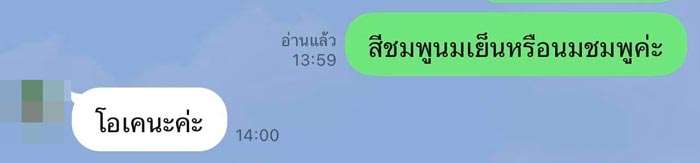 ชานมเย็น ควรเป็นสีอะไร ชานมเย็น ควรเป็นสีอะไร