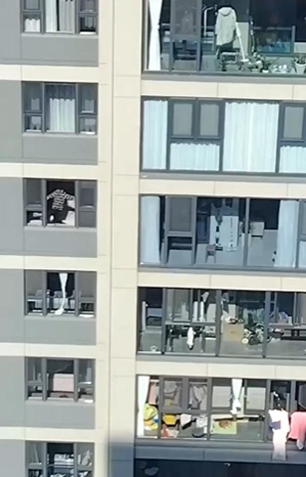 ตกใจเห็นคนจะกระโดดหน้าต่าง ตกใจเห็นคนจะกระโดดหน้าต่าง