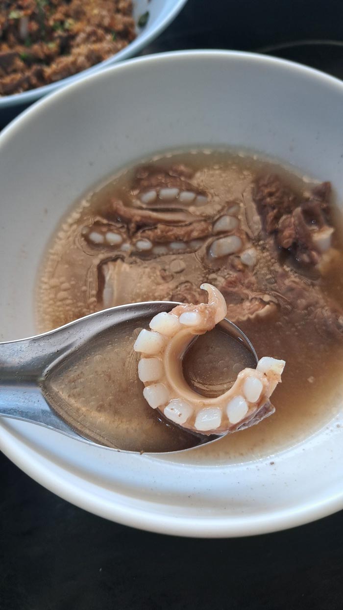 หลอดลมวัว หลอดลมวัว