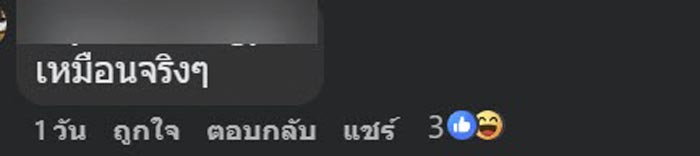 เนื้อส่วนส่วนที่เหมือนฟันปลอม เนื้อส่วนส่วนที่เหมือนฟันปลอม