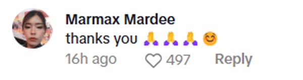 มีน พนักงานกวาดถนน มีน พนักงานกวาดถนน