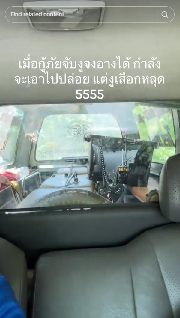 จงอาง 3 เมตร หลุด จงอาง 3 เมตร หลุด