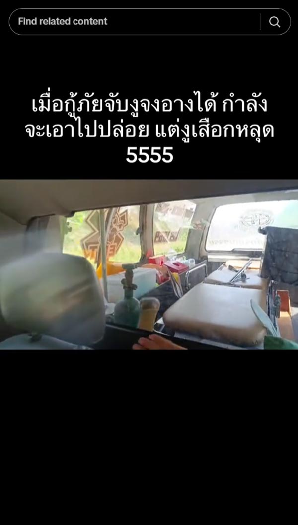 จงอาง 3 เมตร หลุด จงอาง 3 เมตร หลุด