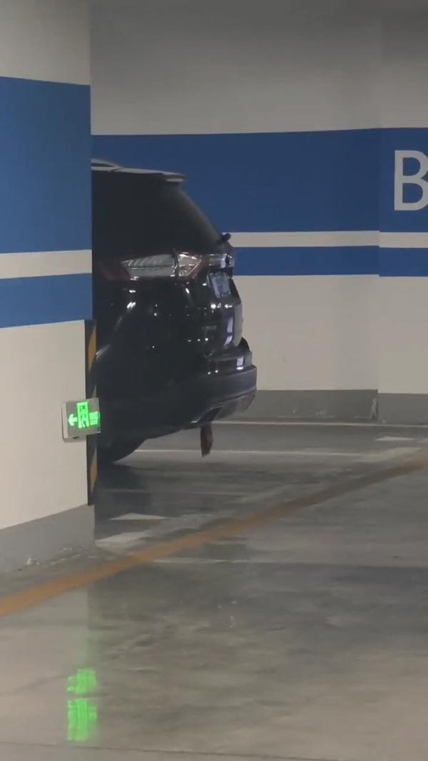 เสียงร้องปริศนาจากในรถ เสียงร้องปริศนาจากในรถ