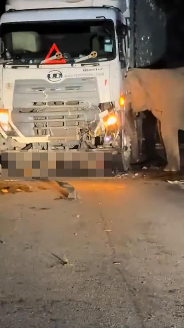 รถบรรทุกชนลูกช้าง รถบรรทุกชนลูกช้าง