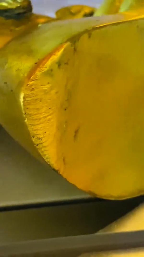 ตรวจสอบพระพุทธรูปทองคำ ตรวจสอบพระพุทธรูปทองคำ