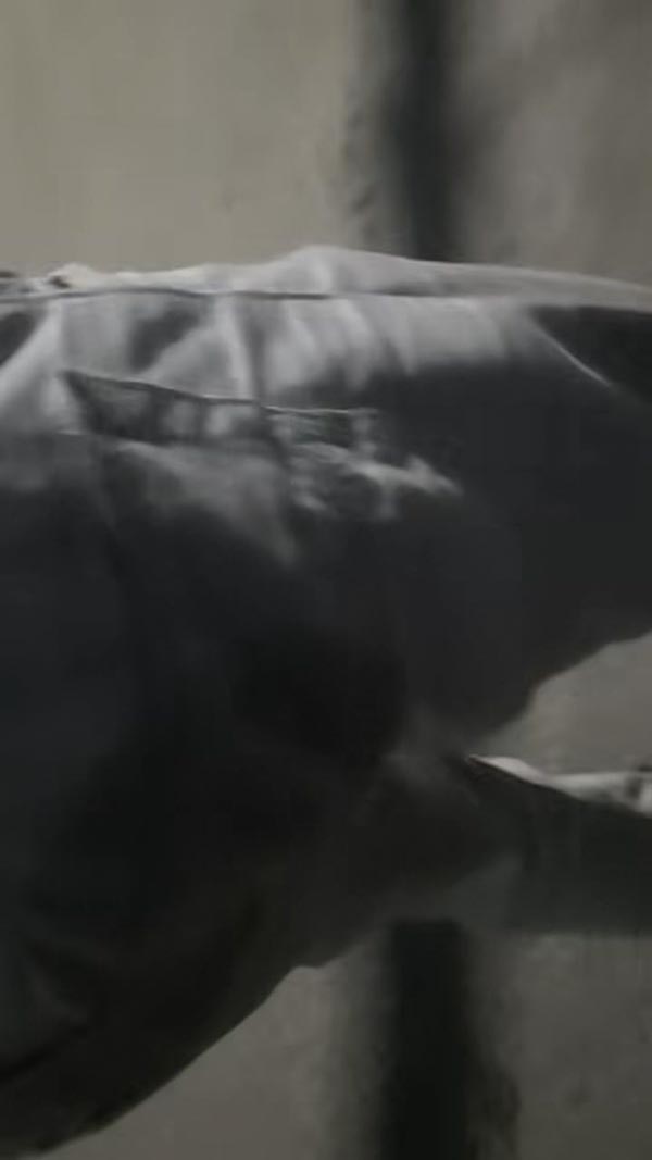 หนุ่มไรเดอร์โวย ลูกค้าหญิงเมาแล้วฉี่บนเบาะ หนุ่มไรเดอร์โวย ลูกค้าหญิงเมาแล้วฉี่บนเบาะ