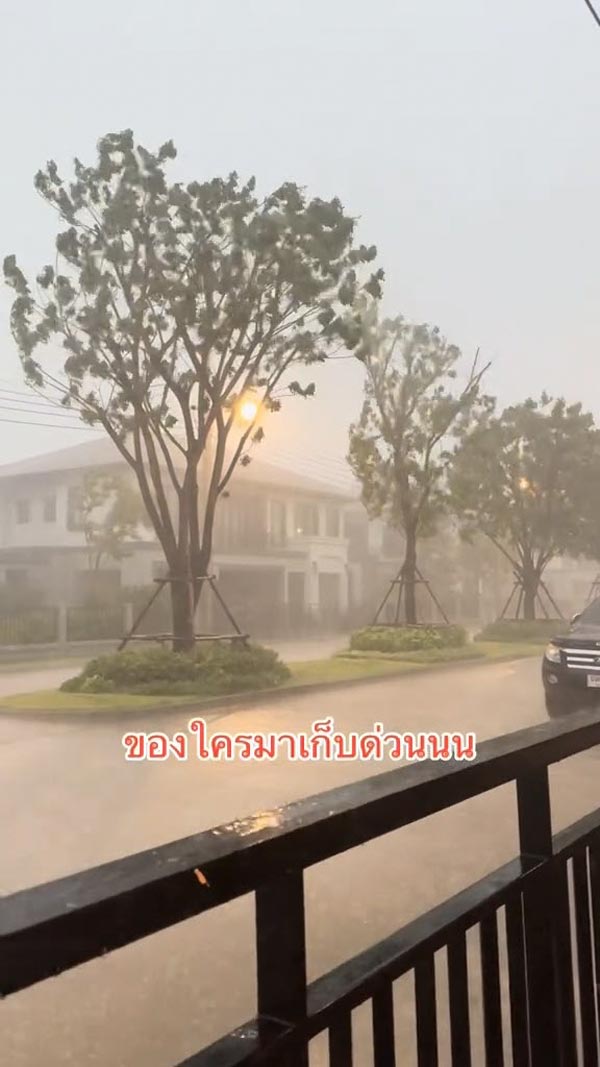 ฝนตกหนัก ลมพัดแรง ฝนตกหนัก ลมพัดแรง