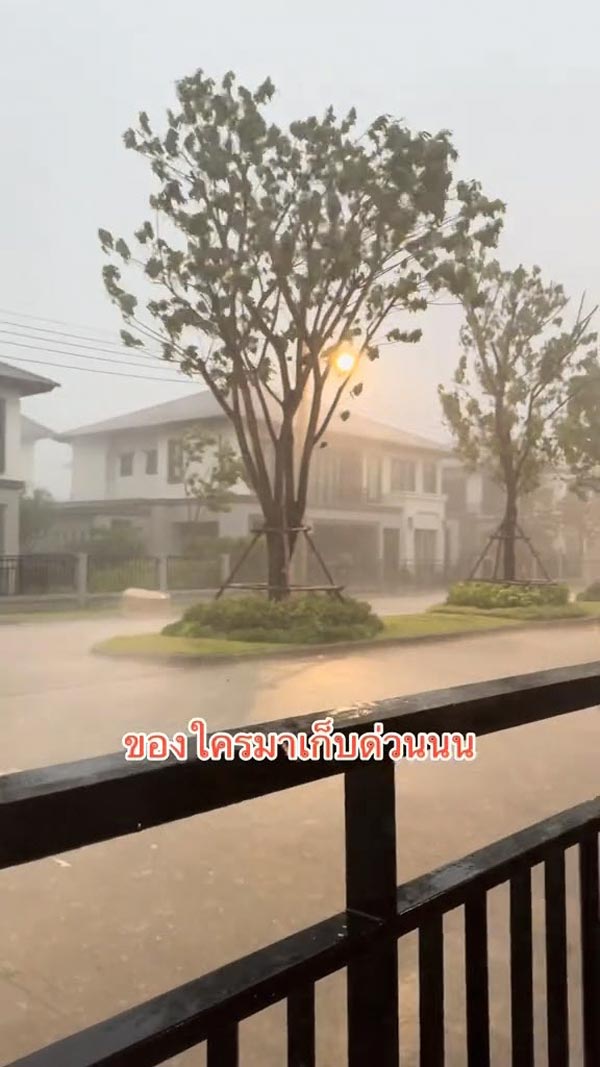 ฝนตกหนัก ลมพัดแรง ฝนตกหนัก ลมพัดแรง