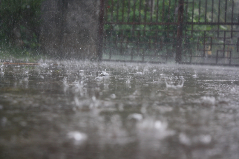 พยากรณ์อากาศฝนตก พายุวิภา พยากรณ์อากาศฝนตก พายุวิภา