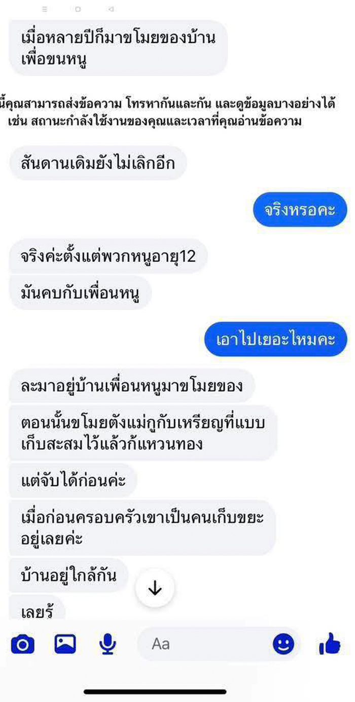 แฟนหนุ่มทรงโจร แฟนหนุ่มทรงโจร