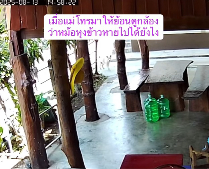 หมอหุงข้าวหาย ใครเอาไป หมอหุงข้าวหาย ใครเอาไป