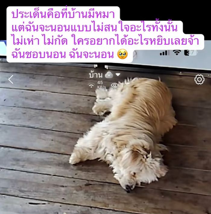 หมอหุงข้าวหาย ใครเอาไป หมอหุงข้าวหาย ใครเอาไป