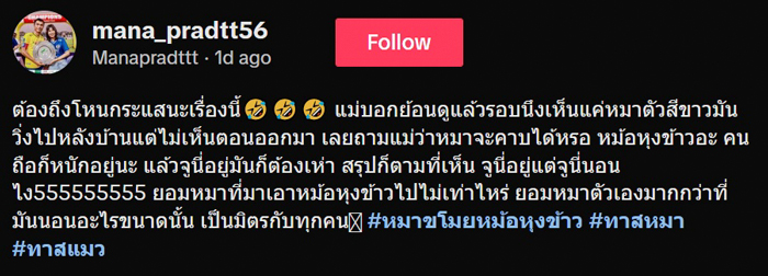 หมอหุงข้าวหาย ใครเอาไป หมอหุงข้าวหาย ใครเอาไป