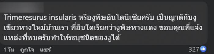 งูสีฟ้า งูสีฟ้า