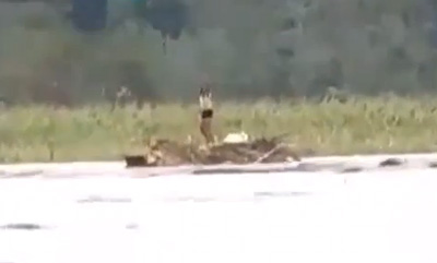 เผยคลิปสาวฟิลิปปินส์เต้นโบกมือบนซากบ้าน ก่อนถูกกระแสน้ำซัด เผยคลิปสาวฟิลิปปินส์เต้นโบกมือบนซากบ้าน ก่อนถูกกระแสน้ำซัด