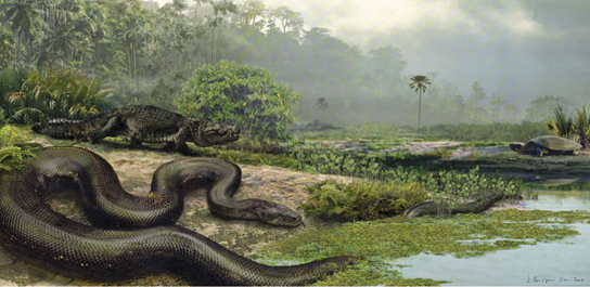 10 อันดับงูที่ใหญ่ที่สุดในโลก 10 อันดับงูที่ใหญ่ที่สุดในโลก