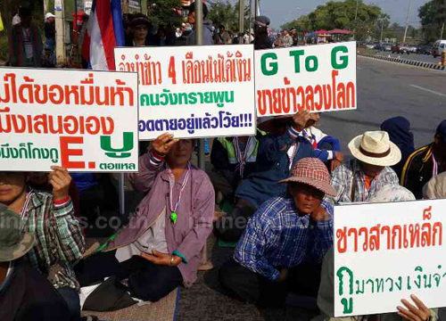 ชาวนาประท้วง ทวงเงินจำนำข้าว ชาวนาประท้วง ทวงเงินจำนำข้าว