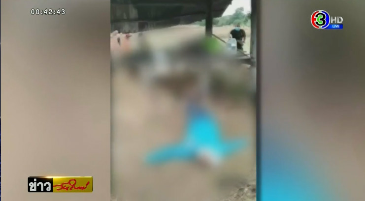 ฟ้าผ่าคนตาย ฟ้าผ่าคนตาย