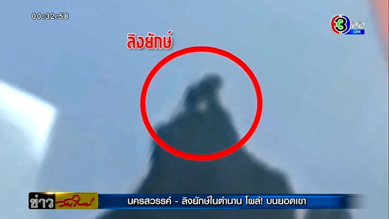 พญาวานร ลิงยักษ์ นครสวรรค์ พญาวานร ลิงยักษ์ นครสวรรค์