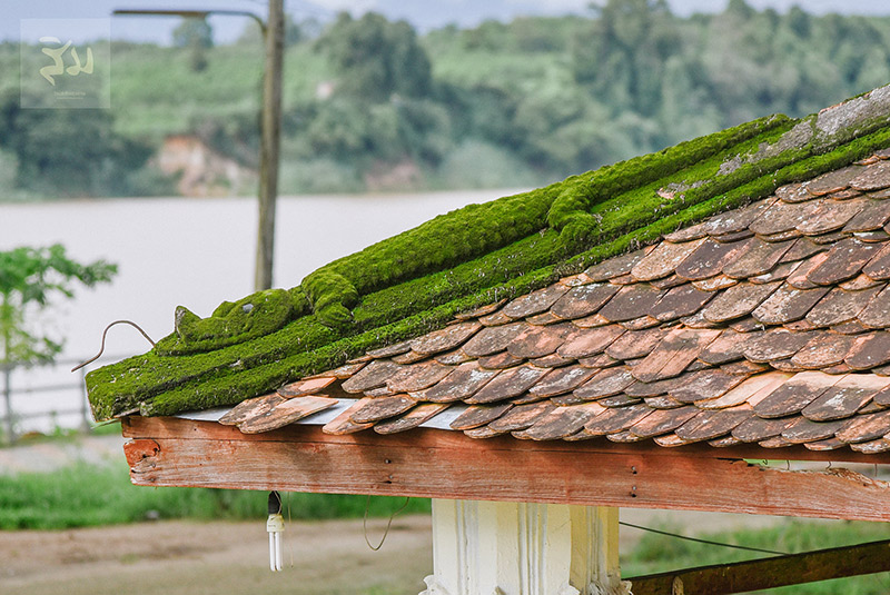 #หิมพานต์มาร์ชเมลโล่ #หิมพานต์มาร์ชเมลโล่