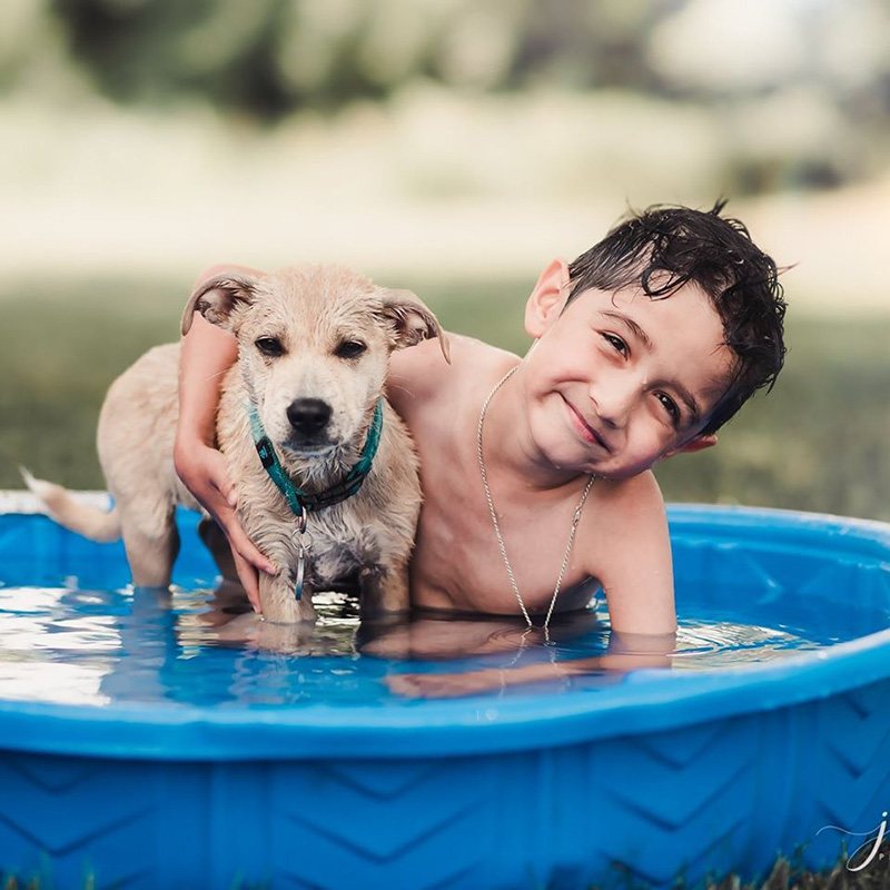 น้องซีเจ-แช๊นซ์ หมาแสนรัก น้องซีเจ-แช๊นซ์ หมาแสนรัก