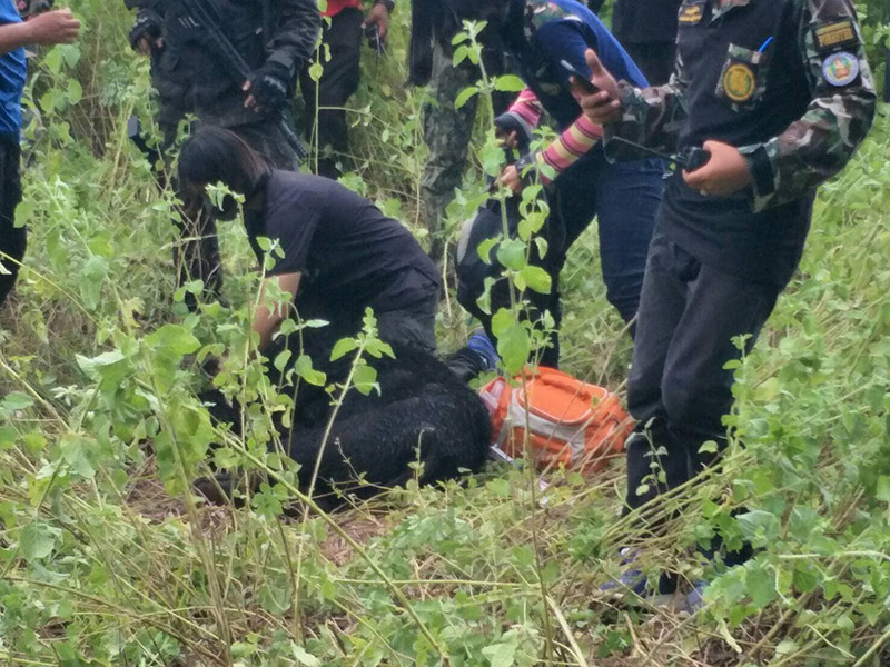 จับหมีควายได้แล้ว จับหมีควายได้แล้ว