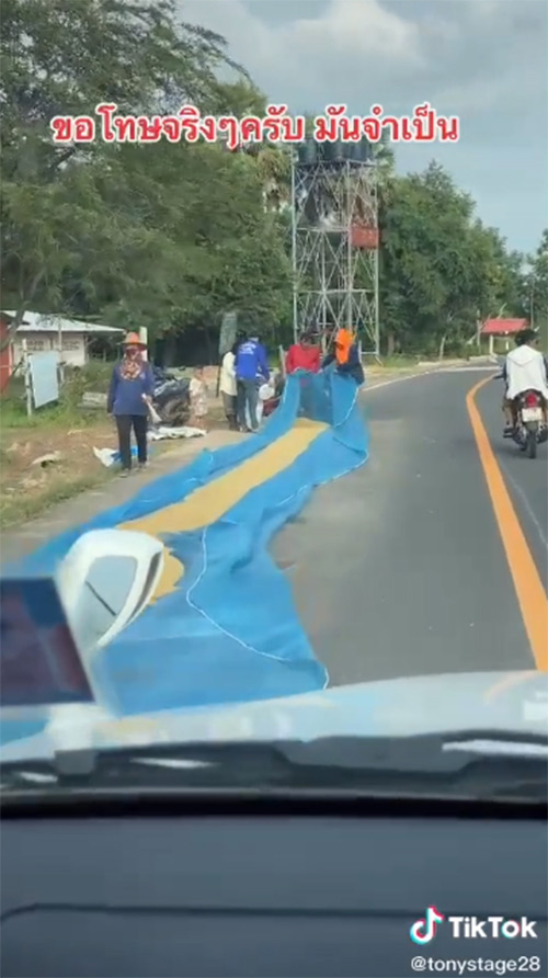 ตากข้าวเปลือกบนถนน ตากข้าวเปลือกบนถนน