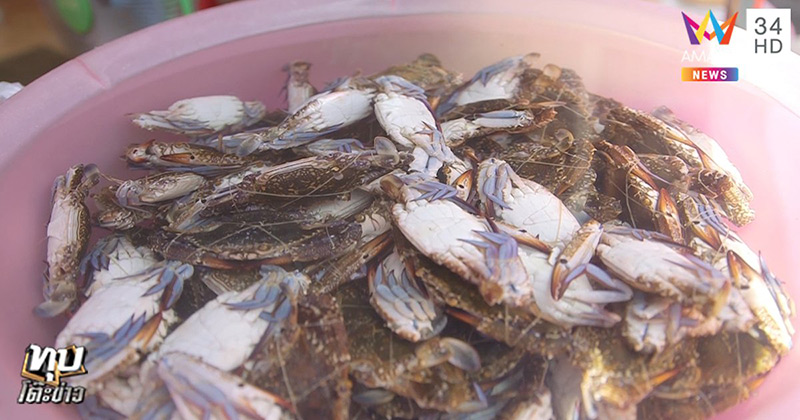 เจ๊เบียร์ คนละยำ เจ๊เบียร์ คนละยำ