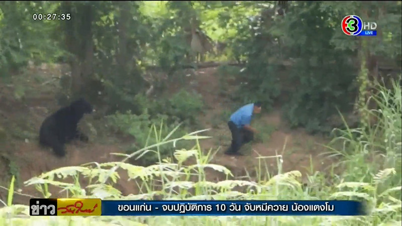 จับหมีควายได้แล้ว จับหมีควายได้แล้ว