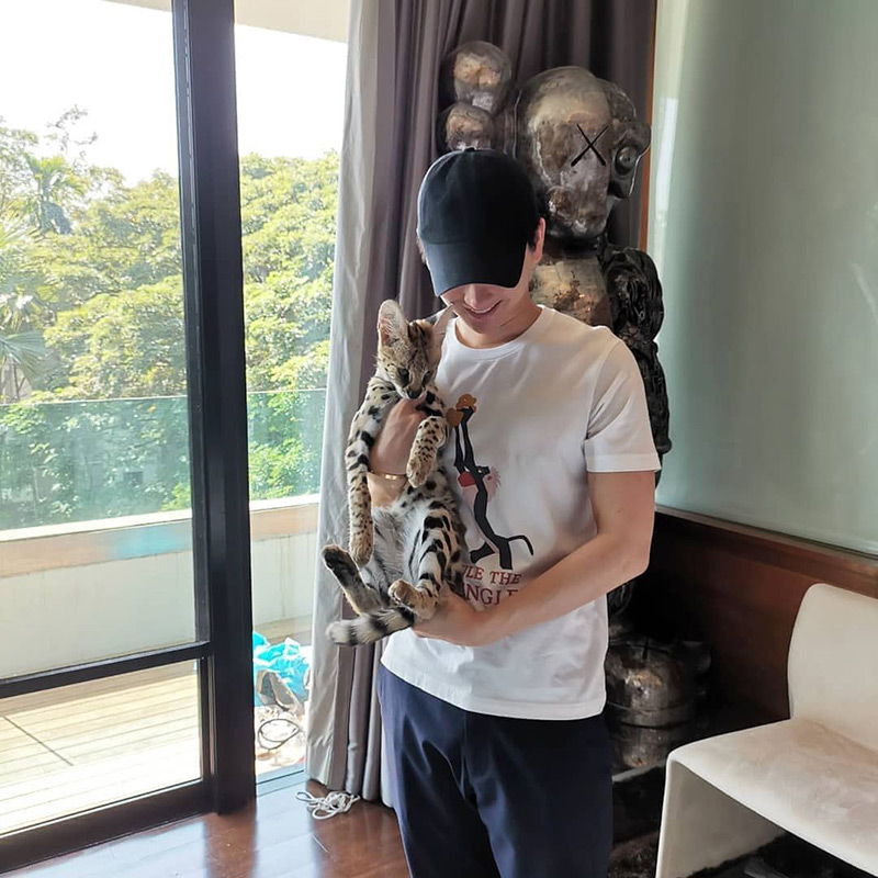 ไฮโซจิมมี่ ไฮโซจิมมี่