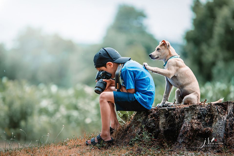 น้องซีเจ-แช๊นซ์ หมาแสนรัก น้องซีเจ-แช๊นซ์ หมาแสนรัก