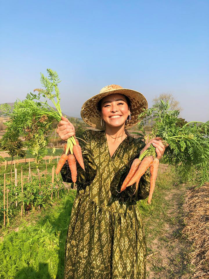 แพรี่พาย แพรี่พาย