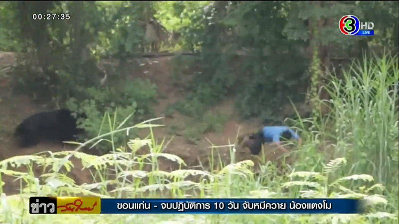 จับหมีควายได้แล้ว จับหมีควายได้แล้ว