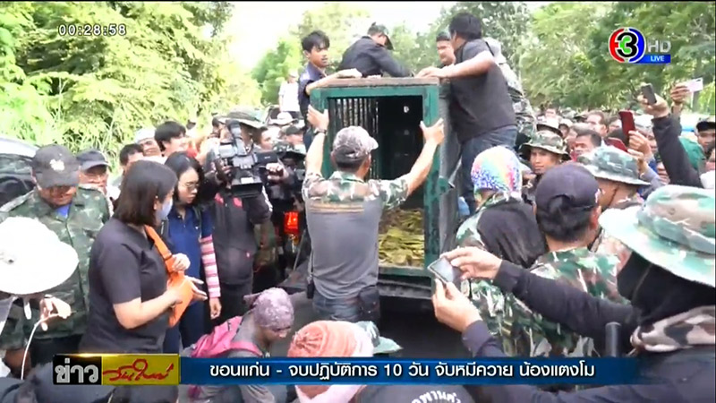 จับหมีควายได้แล้ว จับหมีควายได้แล้ว