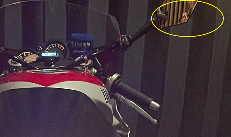 นางฟ้าไบค์เกอร์ญี่ปุ่น นางฟ้าไบค์เกอร์ญี่ปุ่น