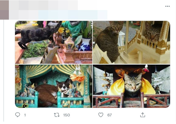 Russell Crowe เที่ยวไทย Russell Crowe เที่ยวไทย