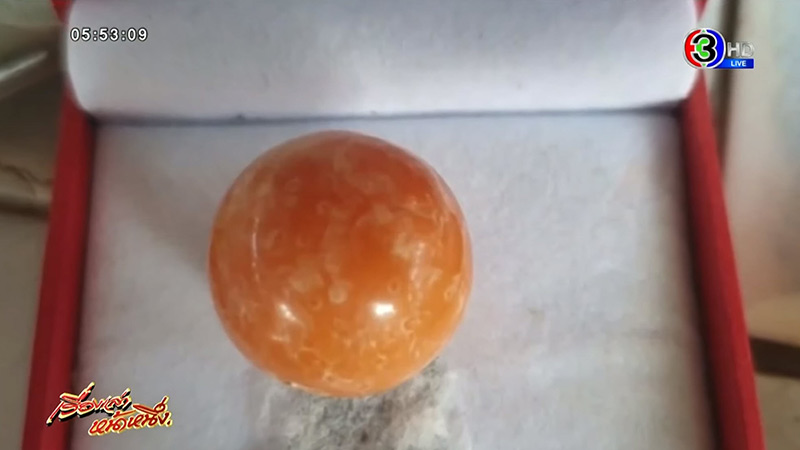 ไข่มุกสีส้ม ไข่มุกสีส้ม